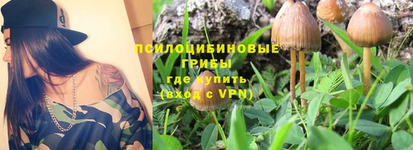 тгк Алексин