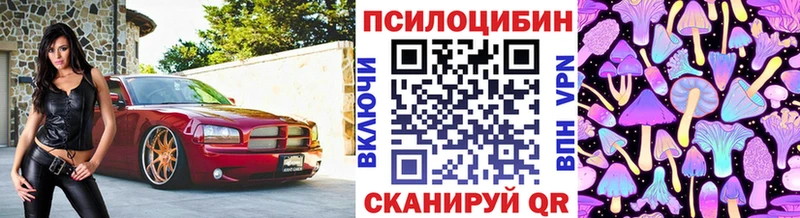 Псилоцибиновые грибы Psilocybine cubensis  Мышкин 
